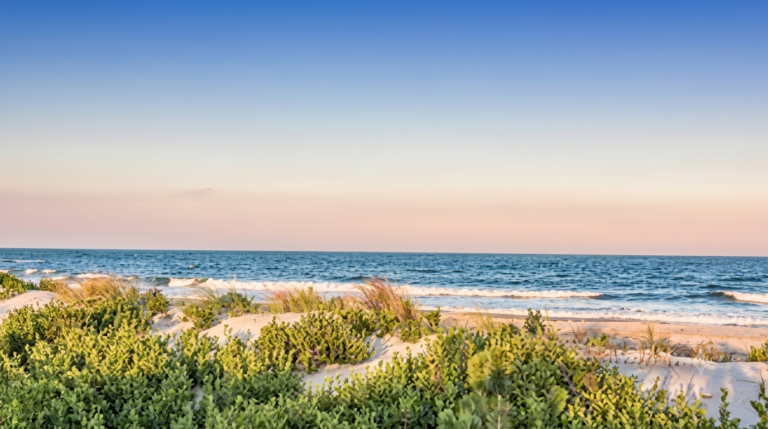 Is Jersey Shore Heating Up Again? Summer Crowds Surge Rapidly!