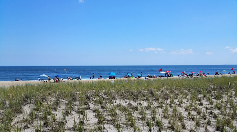 People relaxing on a sandy beach with grassy dunes in the foreground