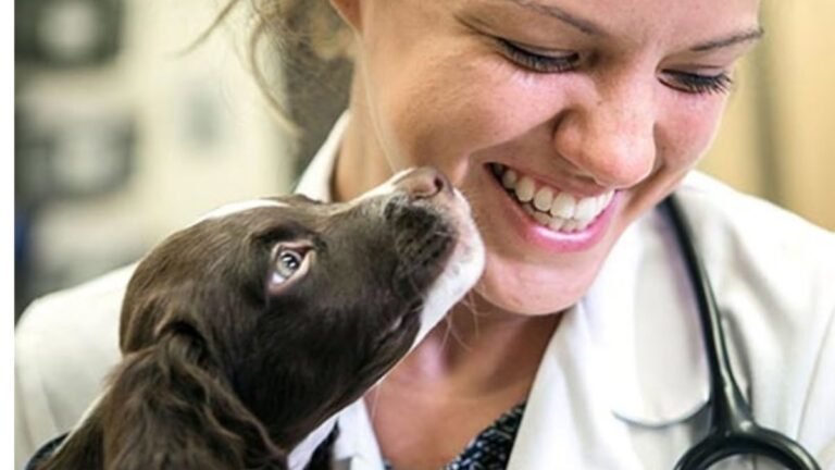 $250 Million Philanthropic Gift Aims to Expand Veterinary Care Access in US